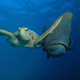 Image: Troy Mayne/Comedy Wildlife Photo Awards
